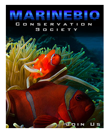MarineBio Conservation Society