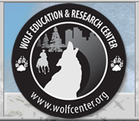 Wolf Education & Research Center - save our wolves!