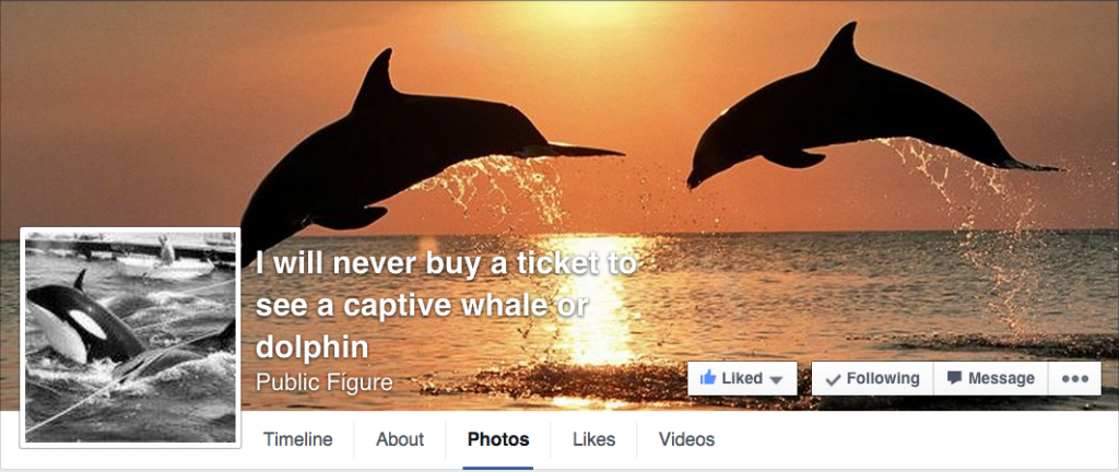 I will never buy a ticket to see a captive whale or dolphin