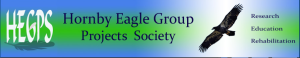Hornby Eagle Group
