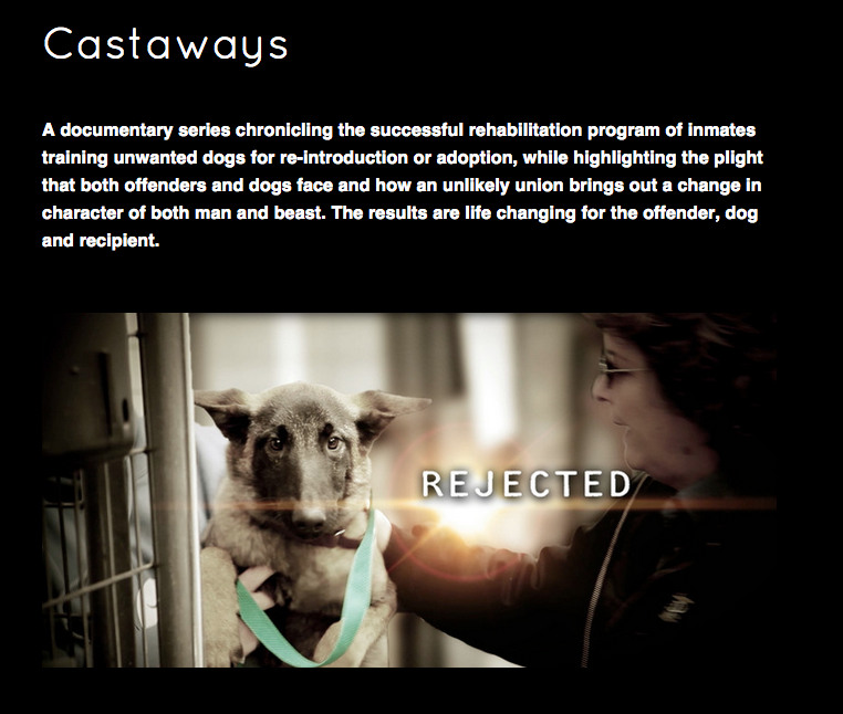Castaways rescues traumatized dogs and humans at the same time!