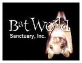 batworld.org