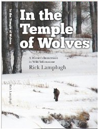 In The Temple of Wolves by Rick Lamplugh