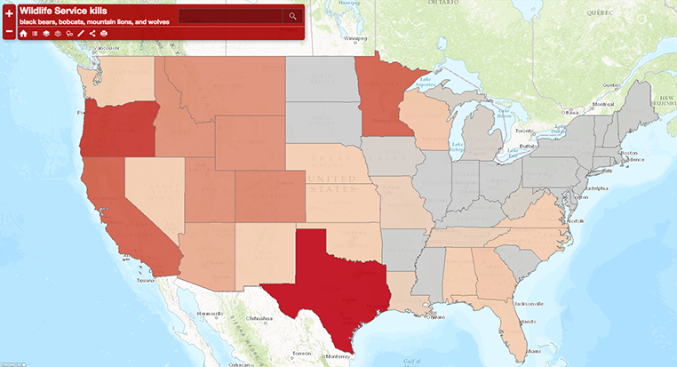 Interactive map - Wildlife kills by state
