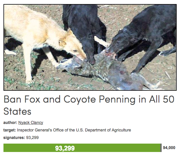 Fox and Coyote - dog fighting