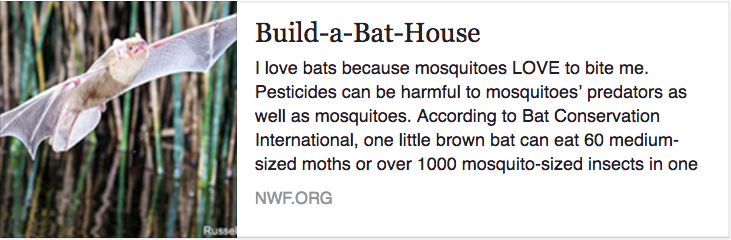 NWF - Build a Bat House