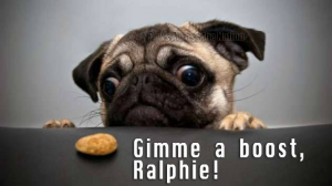 Gimme a boost, Ralphie!