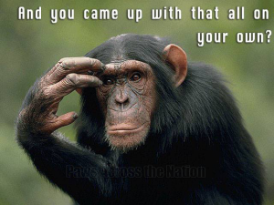 Chimp Knows Best
